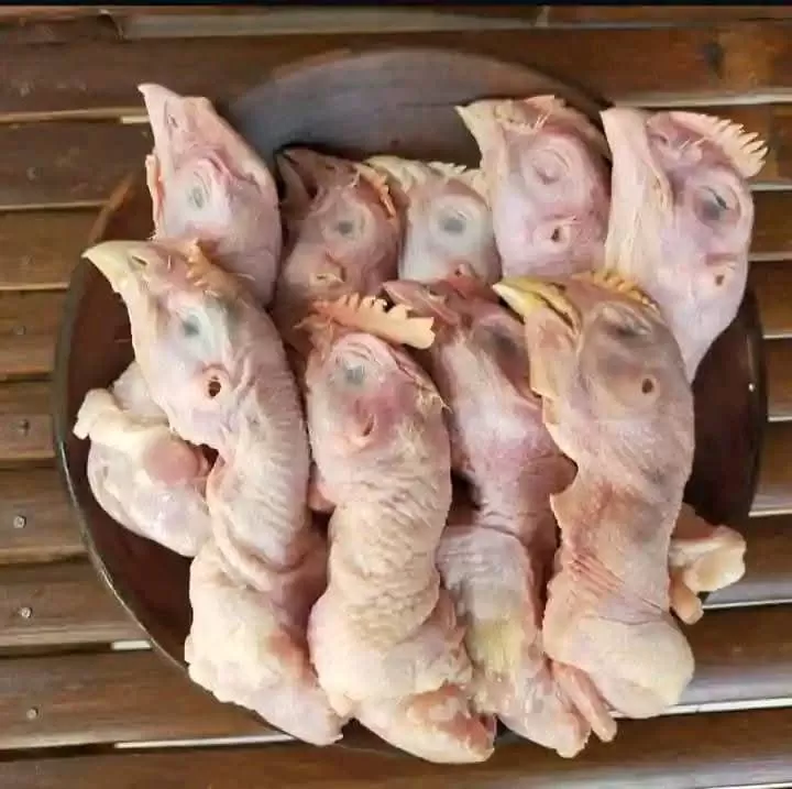 Kepala ayam